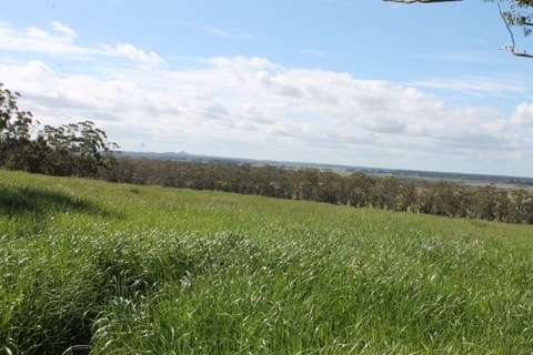 1745 Colac-Timboon Road, Irrewillipe, VIC, Irrewillipe - Thumbnail 3