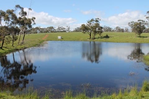 1745 Colac-Timboon Road, Irrewillipe, VIC, Irrewillipe - Thumbnail 5