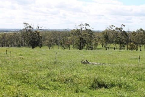 1745 Colac-Timboon Road, Irrewillipe, VIC, Irrewillipe - Thumbnail 8