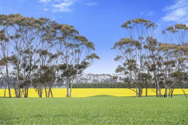 7520 Hamilton Highway, Berrybank, VIC, Berrybank - Image 1