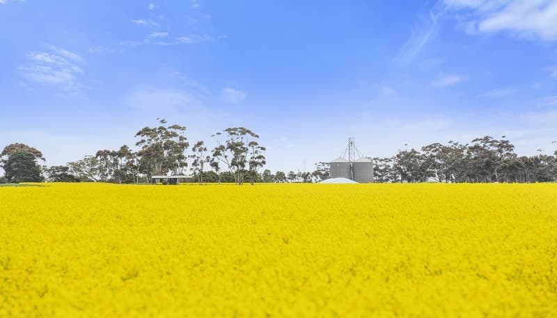 7520 Hamilton Highway, Berrybank, VIC, Berrybank - Thumbnail 3