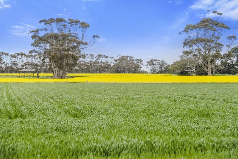 7520 Hamilton Highway, Berrybank, VIC, Berrybank - Thumbnail 4