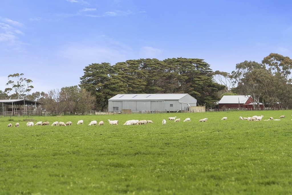 135 Eurack Road, Beeac, VIC, Beeac - Thumbnail 5