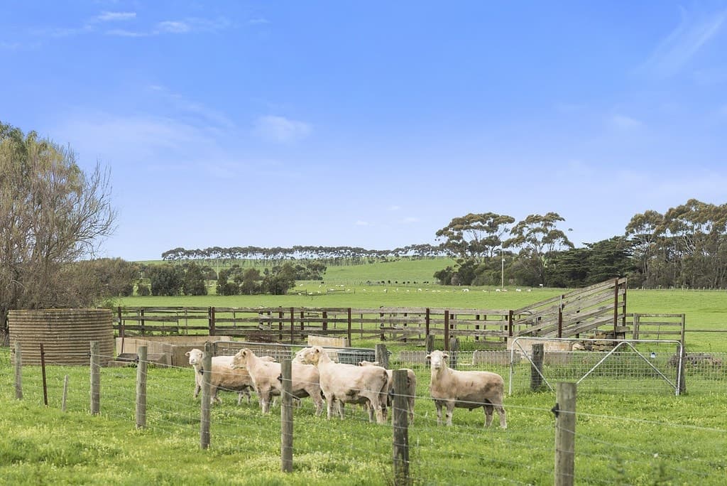 135 Eurack Road, Beeac, VIC, Beeac - Thumbnail 6