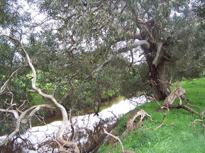 Rokewood-Meadows Road, Rokewood, VIC, Rokewood - Thumbnail 2