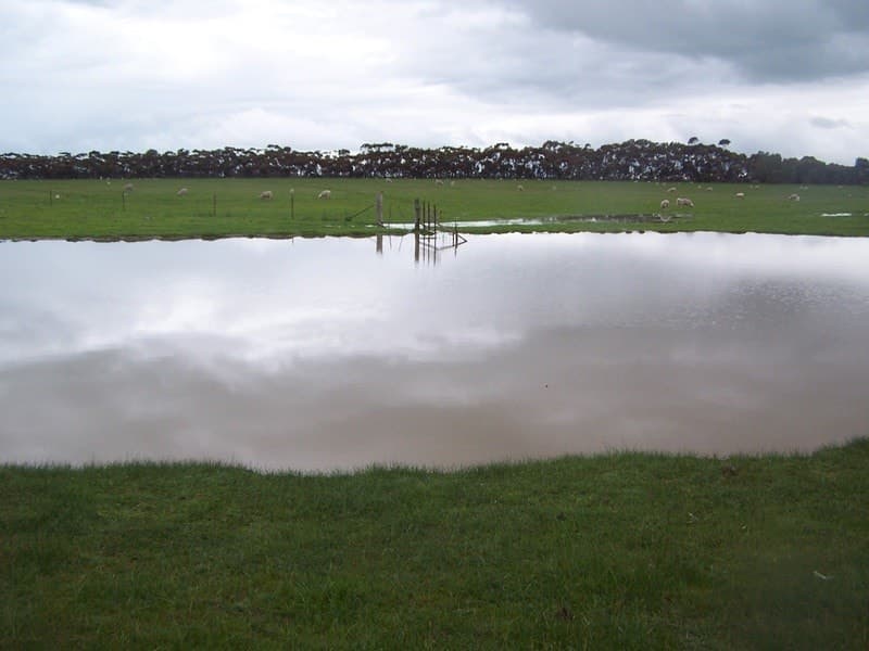 Rokewood-Meadows Road, Rokewood, VIC, Rokewood - Thumbnail 5