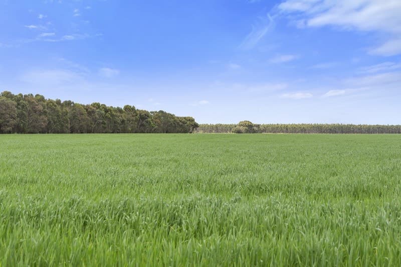 120 Steeles Road, Leslie Manor, VIC, Leslie Manor - Image 1