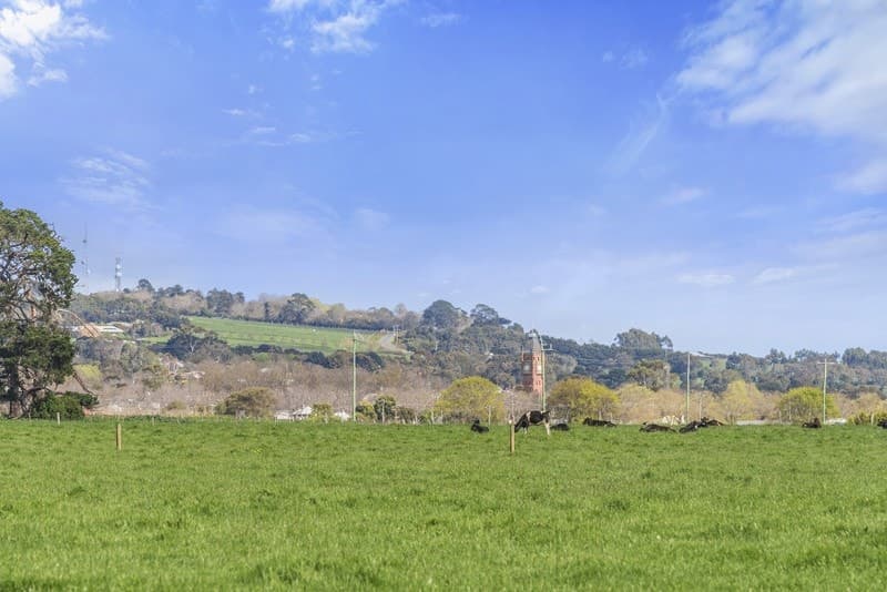 185 Wire Lane, Camperdown, VIC, Camperdown - Thumbnail 2