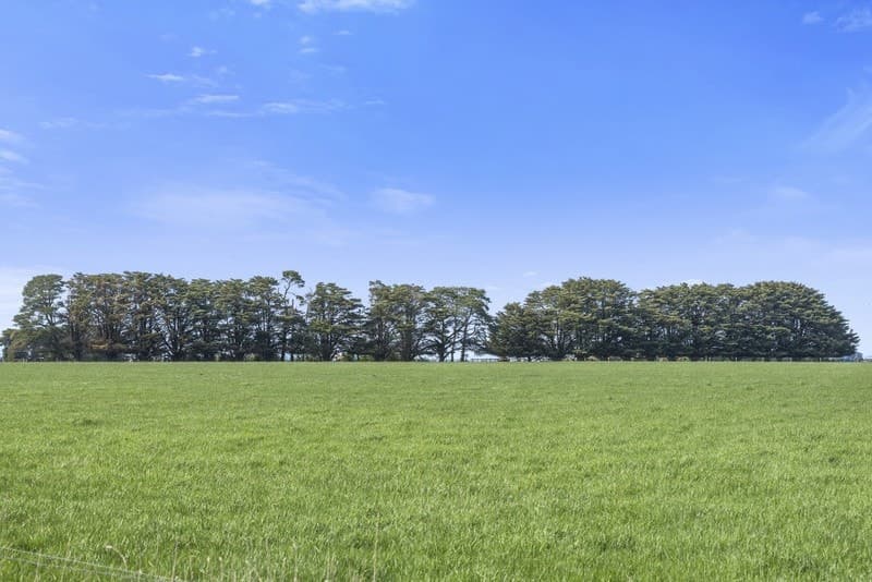 185 Wire Lane, Camperdown, VIC, Camperdown - Thumbnail 5
