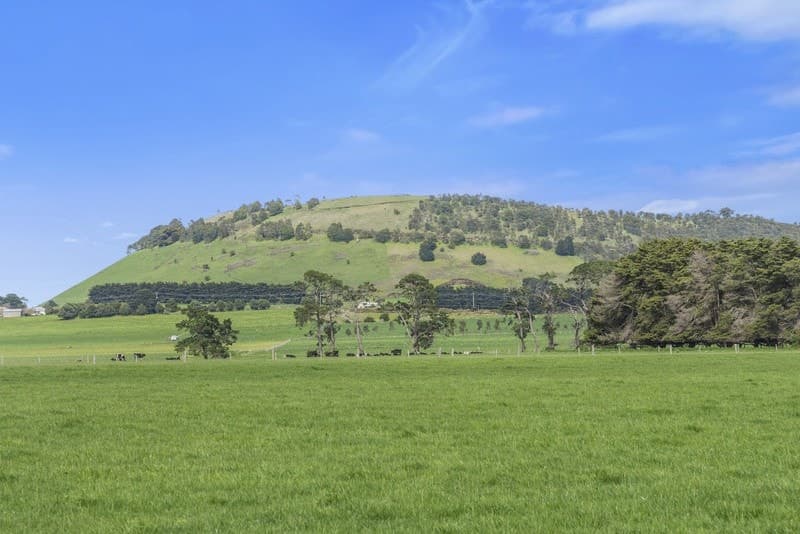 185 Wire Lane, Camperdown, VIC, Camperdown - Thumbnail 7