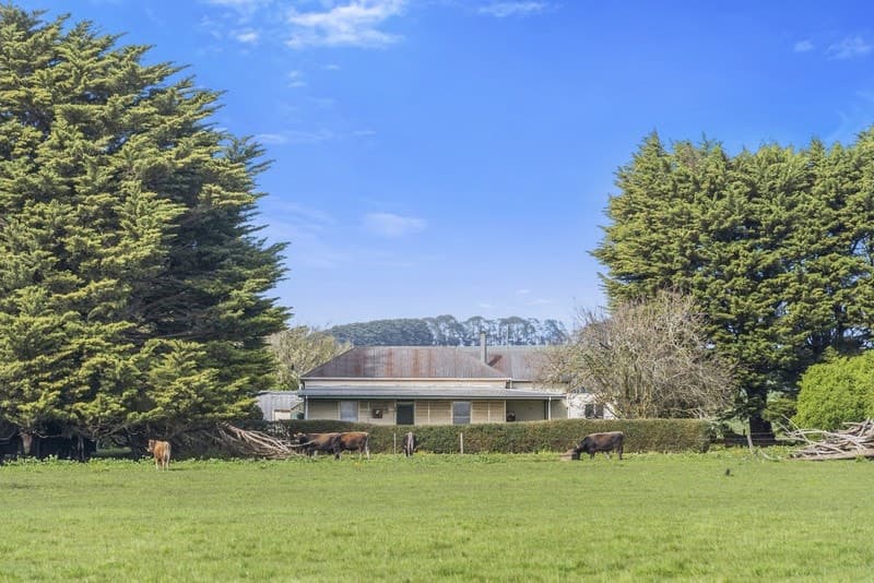 185 Wire Lane, Camperdown, VIC, Camperdown - Thumbnail 8