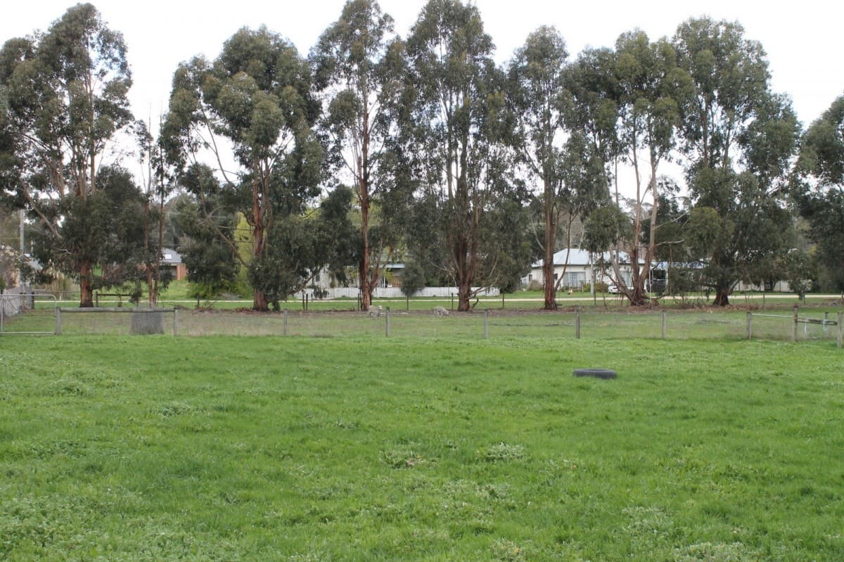 19 Hopkins Street, Birregurra, VIC, Birregurra - Image 1