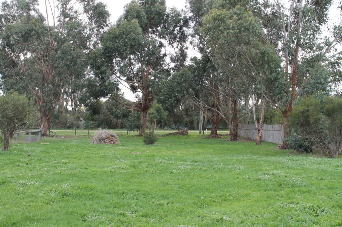 19 Hopkins Street, Birregurra, VIC, Birregurra - Thumbnail 2