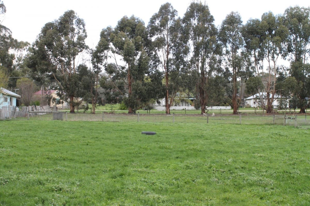 19 Hopkins Street, Birregurra, VIC, Birregurra - Thumbnail 4