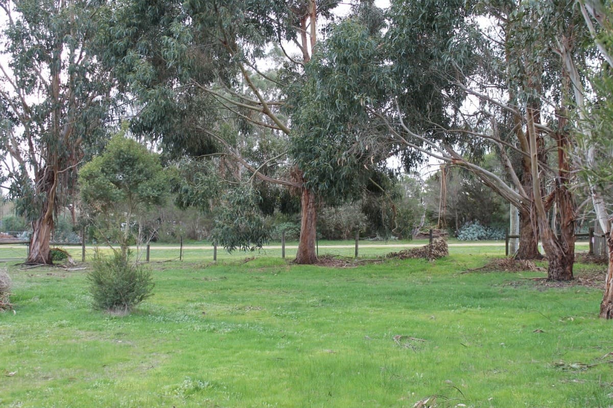19 Hopkins Street, Birregurra, VIC, Birregurra - Thumbnail 5