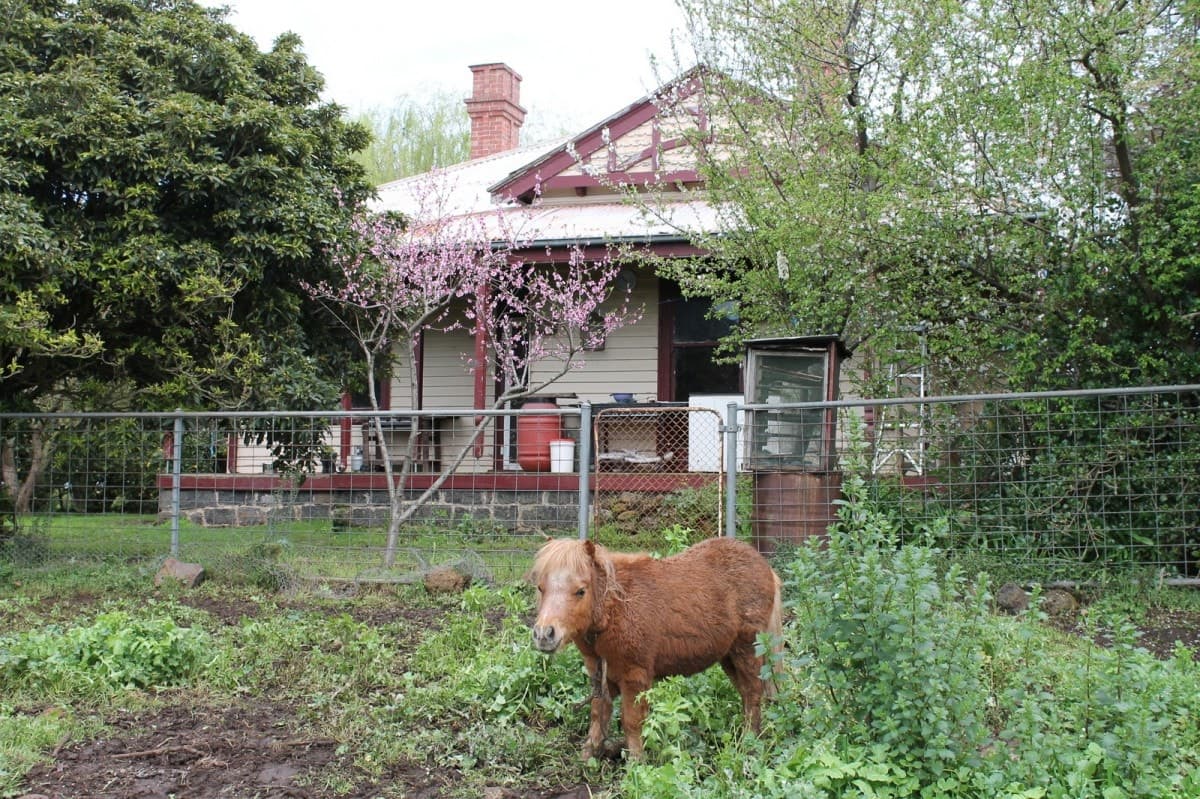 25 Beeac-Dreeite Road, Beeac, VIC, Beeac - Thumbnail 2