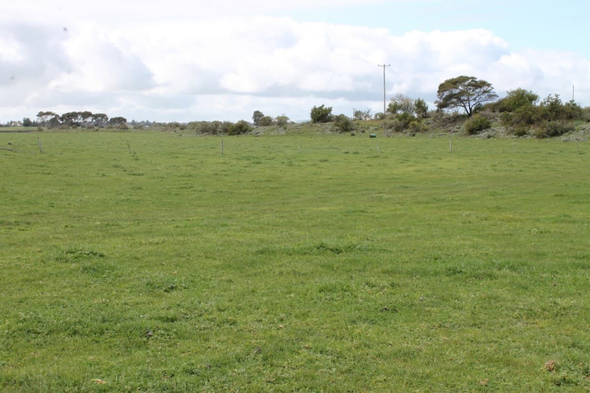 25 Beeac-Dreeite Road, Beeac, VIC, Beeac - Thumbnail 5