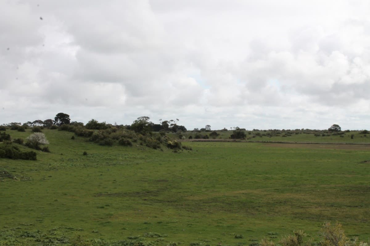 25 Beeac-Dreeite Road, Beeac, VIC, Beeac - Thumbnail 6