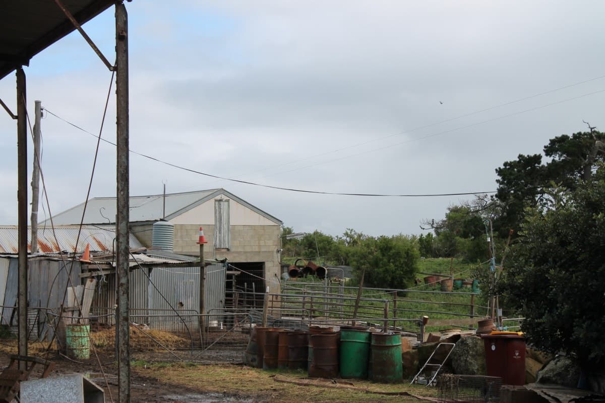 25 Beeac-Dreeite Road, Beeac, VIC, Beeac - Thumbnail 8