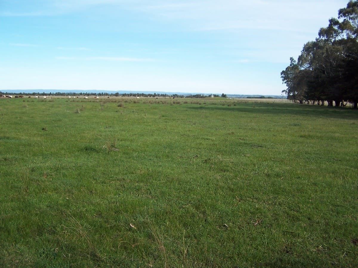 1120 Warrowie Road, Irrewarra, VIC, Irrewarra - Thumbnail 2