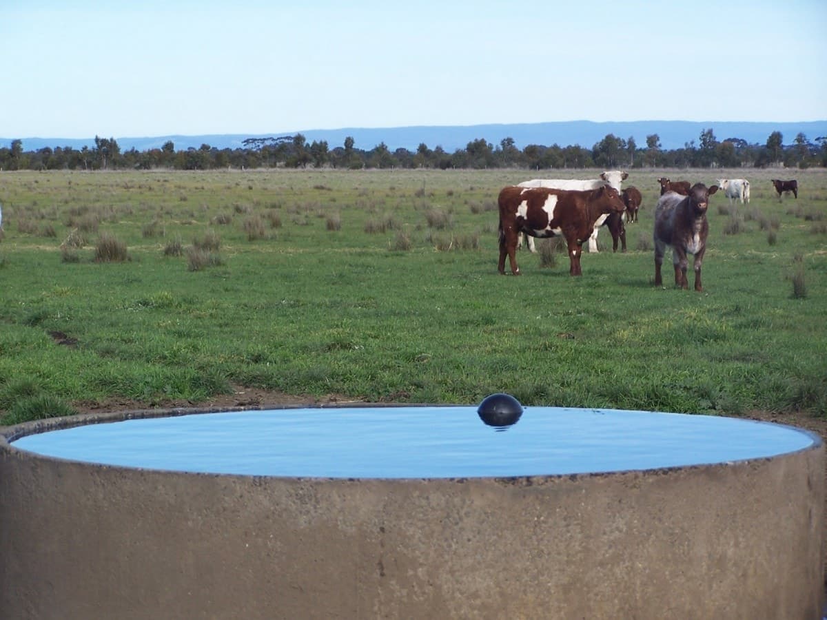1120 Warrowie Road, Irrewarra, VIC, Irrewarra - Thumbnail 3