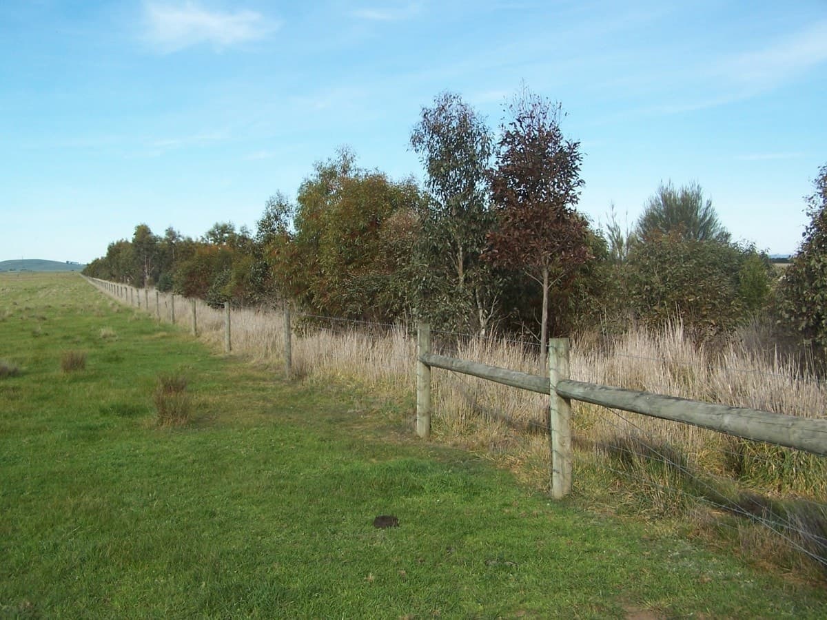 1120 Warrowie Road, Irrewarra, VIC, Irrewarra - Thumbnail 4