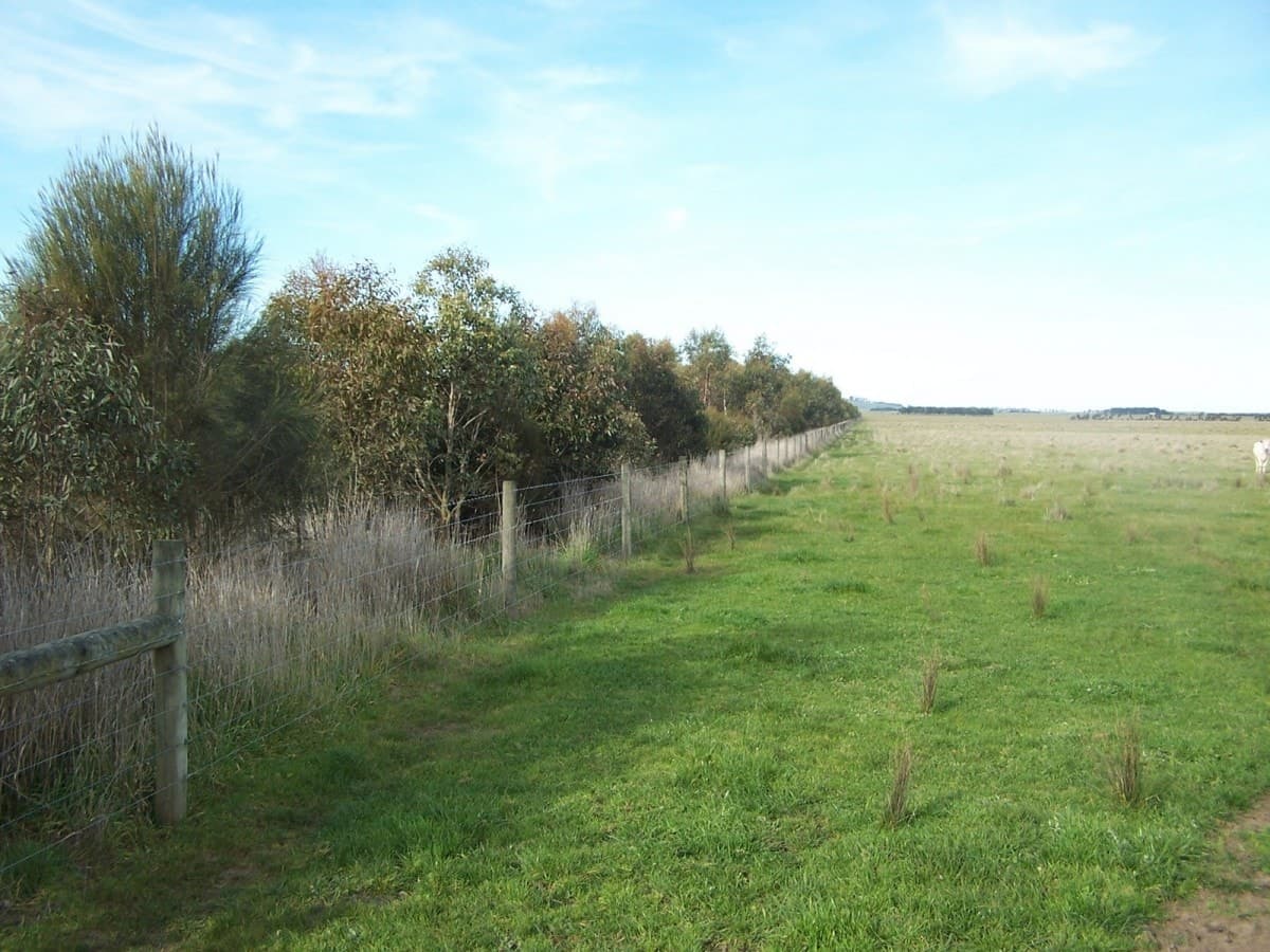 1120 Warrowie Road, Irrewarra, VIC, Irrewarra - Thumbnail 5