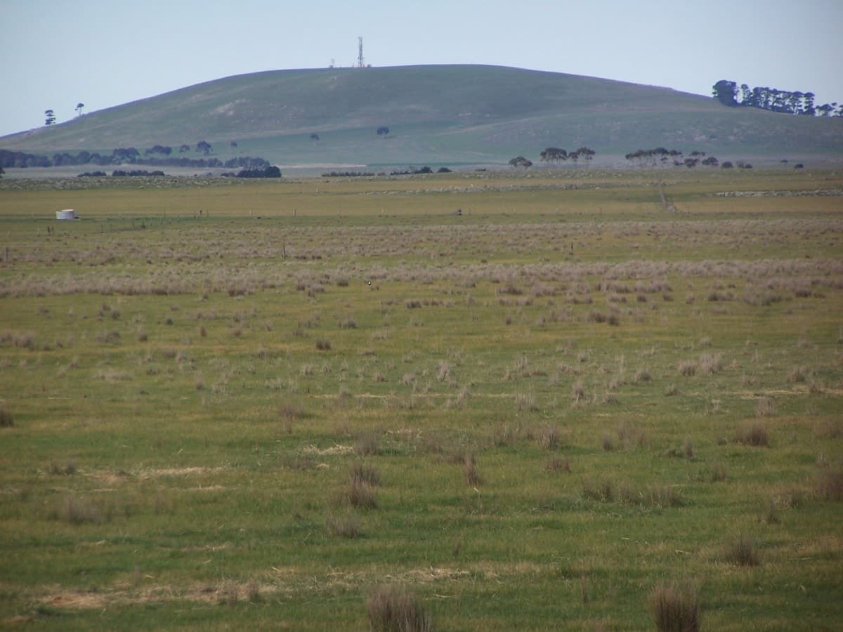 1120 Warrowie Road, Irrewarra, VIC, Irrewarra - Thumbnail 7