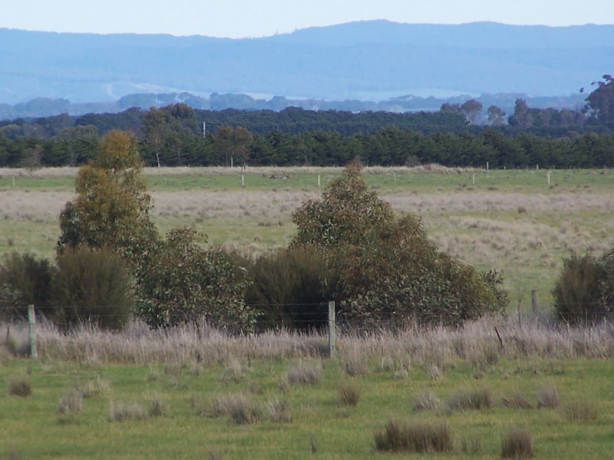 1120 Warrowie Road, Irrewarra, VIC, Irrewarra - Thumbnail 8