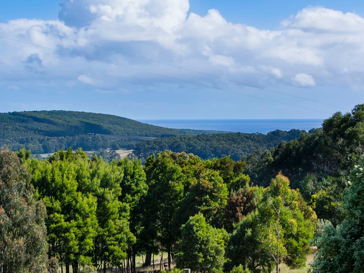405 Aire Settlement Road, Johanna, VIC, Johanna - Thumbnail 2