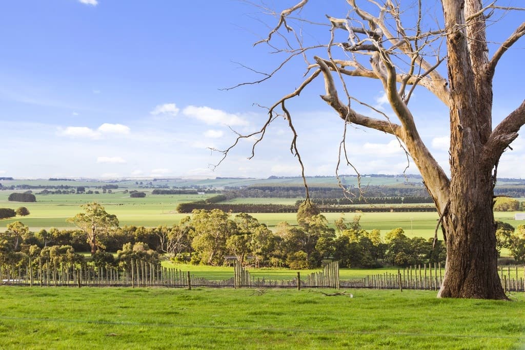495 Murroon Road, Pennyroyal, VIC, Pennyroyal - Thumbnail 7