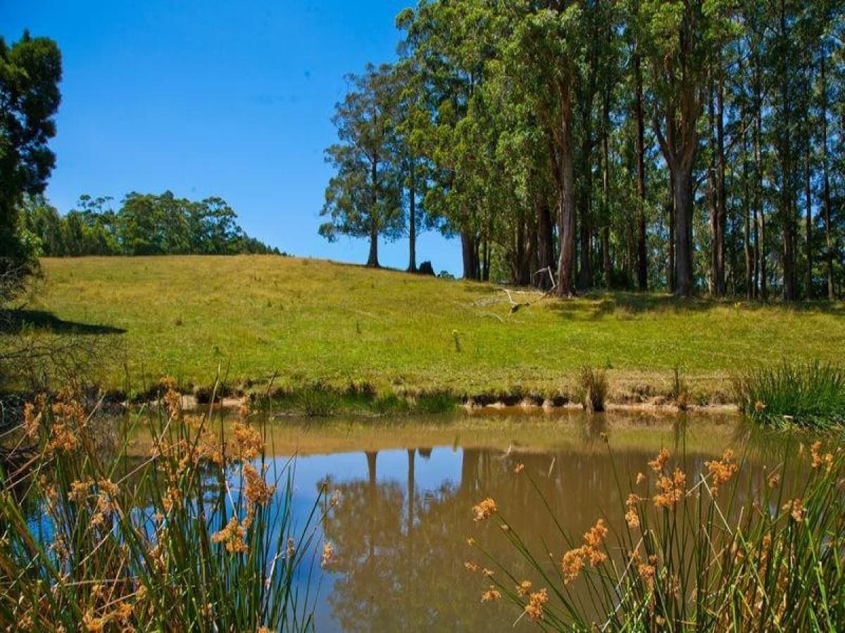 5500 Great Ocean Road, Yuulong, VIC, Yuulong - Image 1