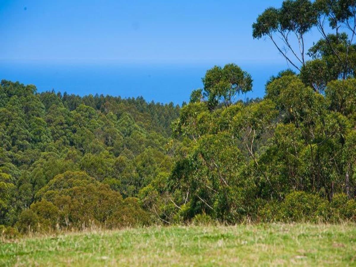 5500 Great Ocean Road, Yuulong, VIC, Yuulong - Thumbnail 4