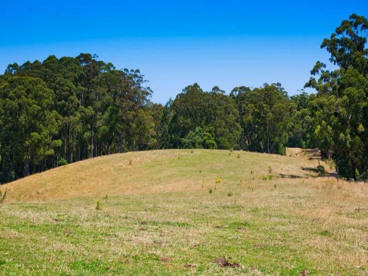 5500 Great Ocean Road, Yuulong, VIC, Yuulong - Thumbnail 6