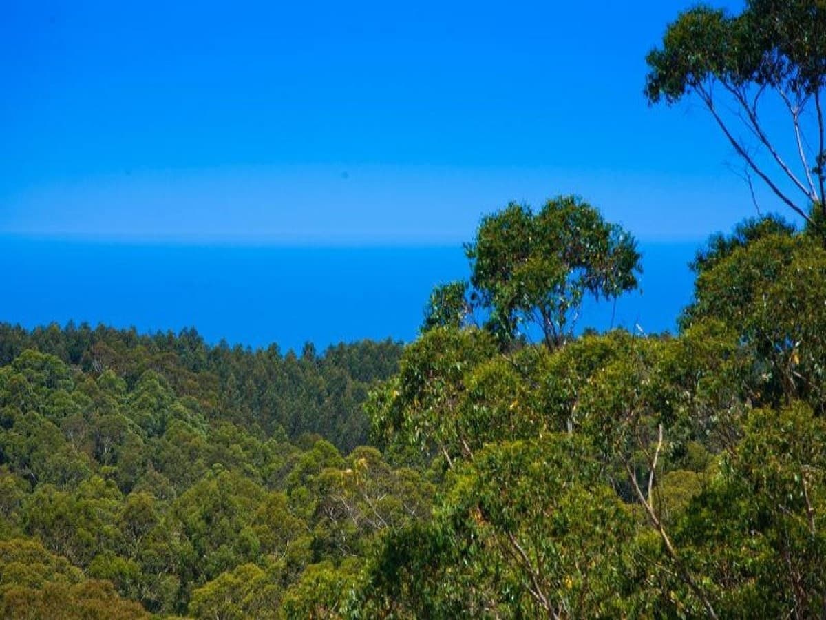 5500 Great Ocean Road, Yuulong, VIC, Yuulong - Thumbnail 7