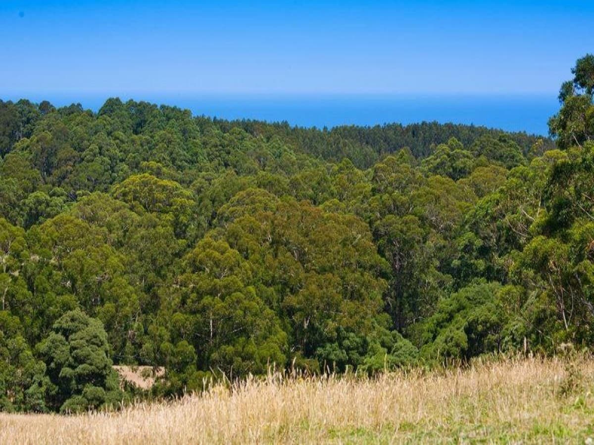 5500 Great Ocean Road, Yuulong, VIC, Yuulong - Thumbnail 8