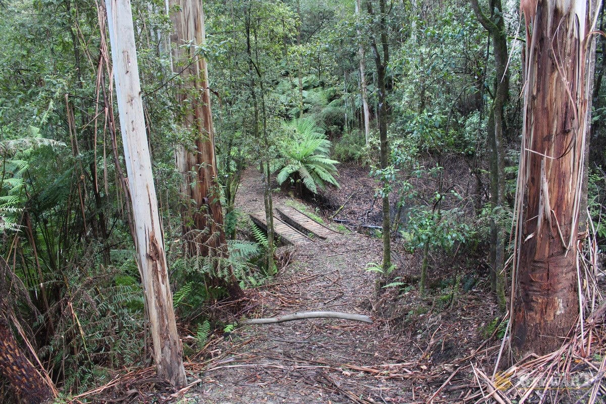 574 Apollo Bay-Forrest Road, Barramunga, VIC, Barramunga - Image 1