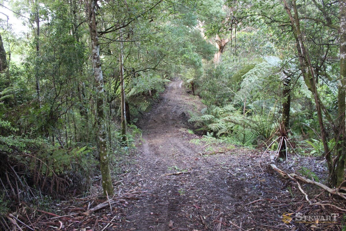 574 Apollo Bay-Forrest Road, Barramunga, VIC, Barramunga - Thumbnail 5
