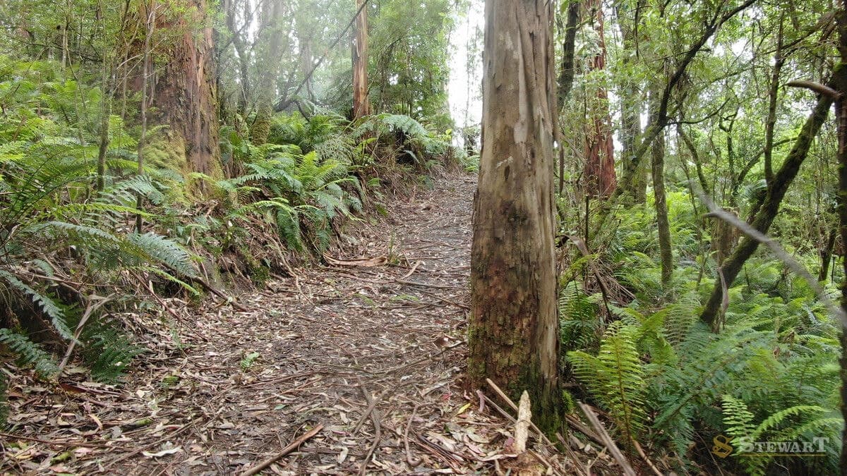 574 Apollo Bay-Forrest Road, Barramunga, VIC, Barramunga - Thumbnail 7