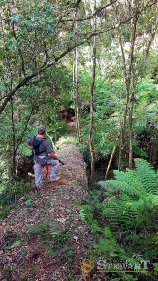 574 Apollo Bay-Forrest Road, Barramunga, VIC, Barramunga - Thumbnail 8