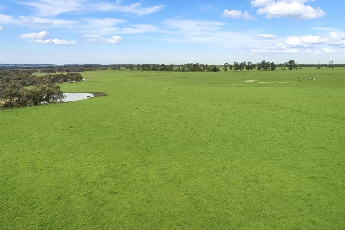 Timboon-Terang & Terang-Cobden Road, Dixie, VIC, Dixie - Thumbnail 3