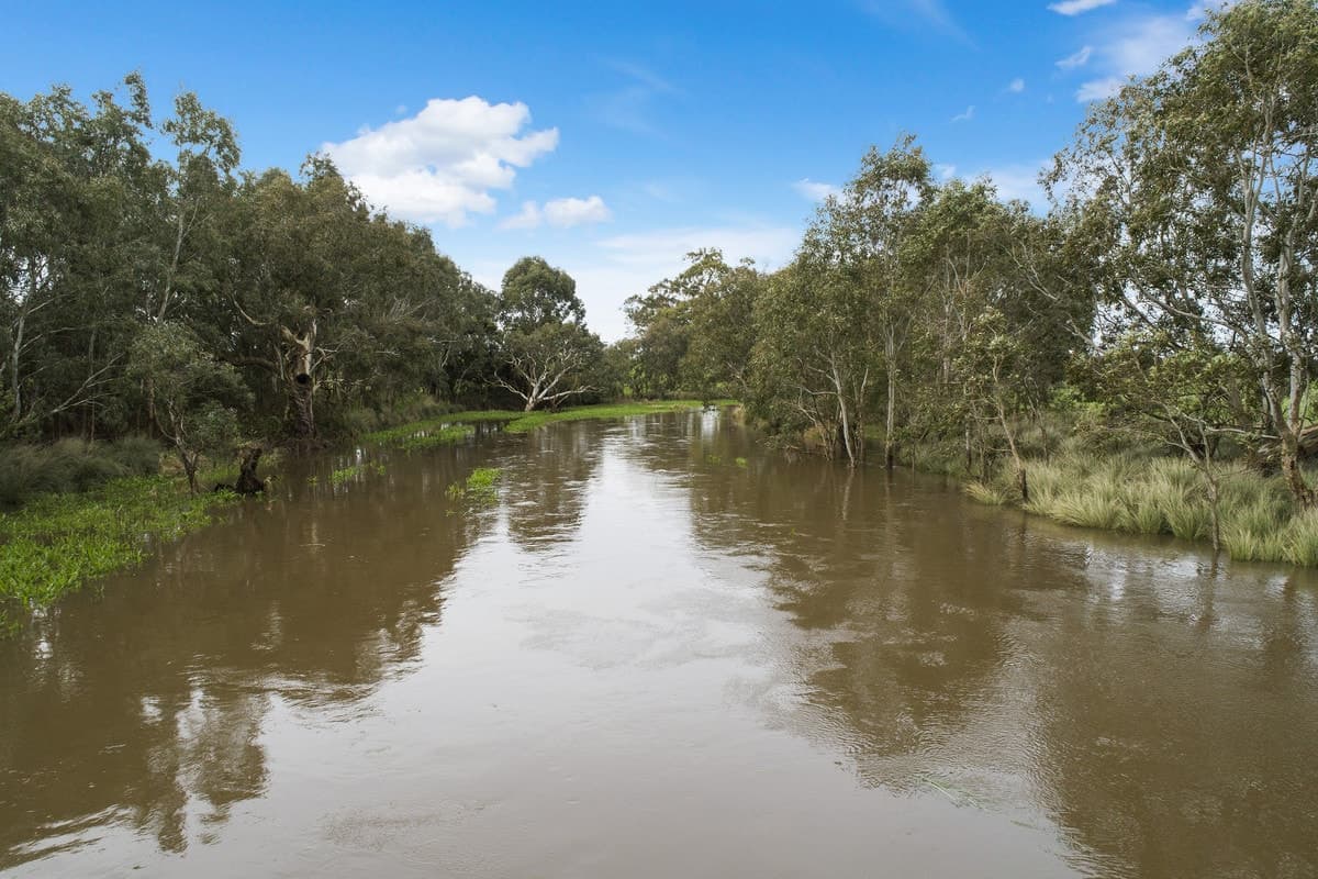 Timboon-Terang & Terang-Cobden Road, Dixie, VIC, Dixie - Thumbnail 4
