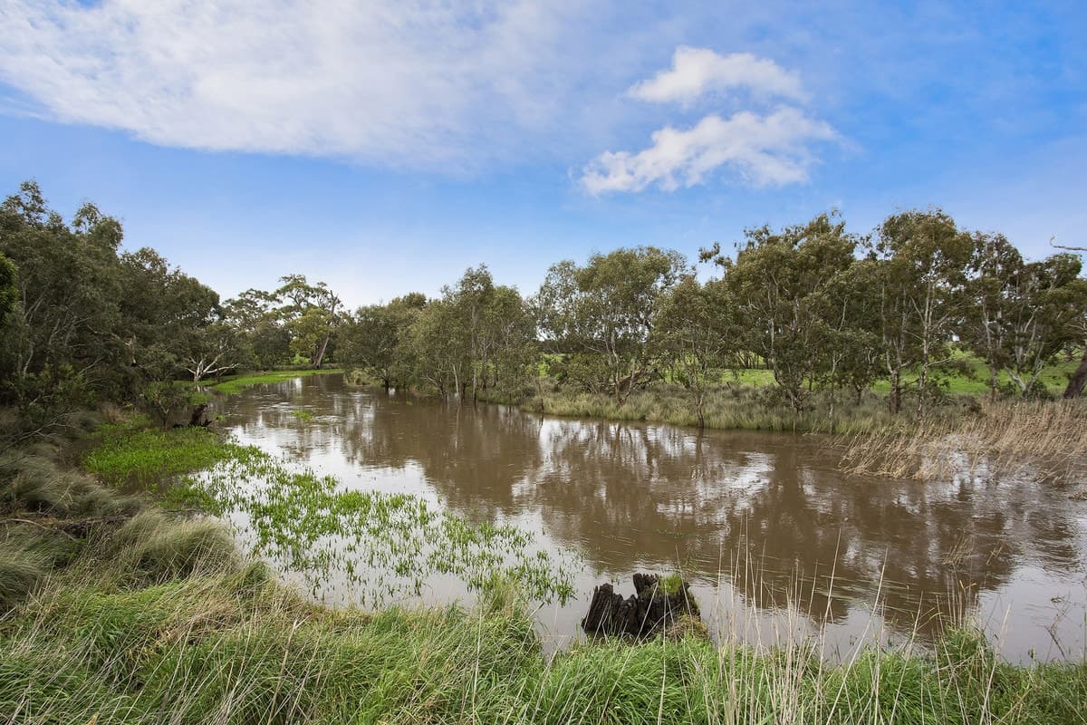 Timboon-Terang & Terang-Cobden Road, Dixie, VIC, Dixie - Thumbnail 8