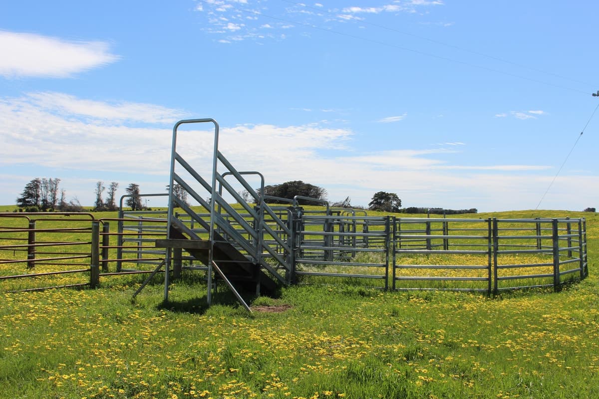 1025 South Dreeite Road, Dreeite, VIC, Dreeite - Thumbnail 5