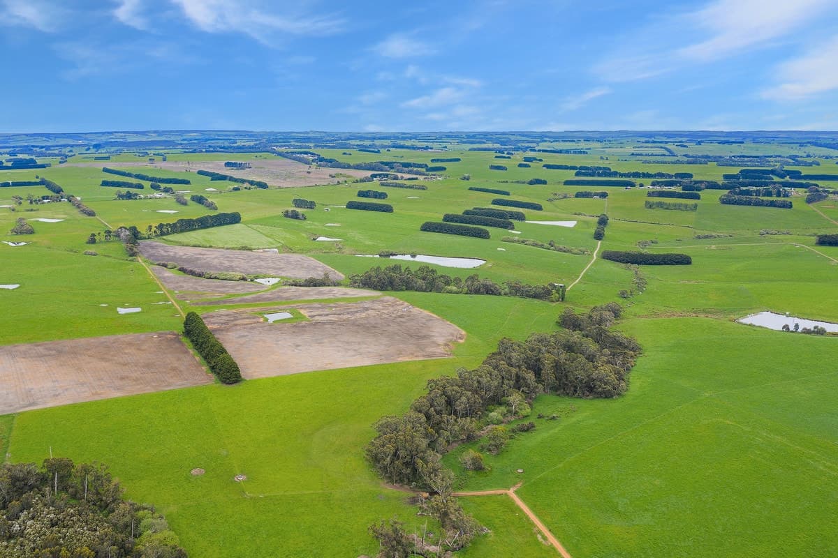 125 Coradjil Road, Simpson, VIC, Simpson - Thumbnail 3