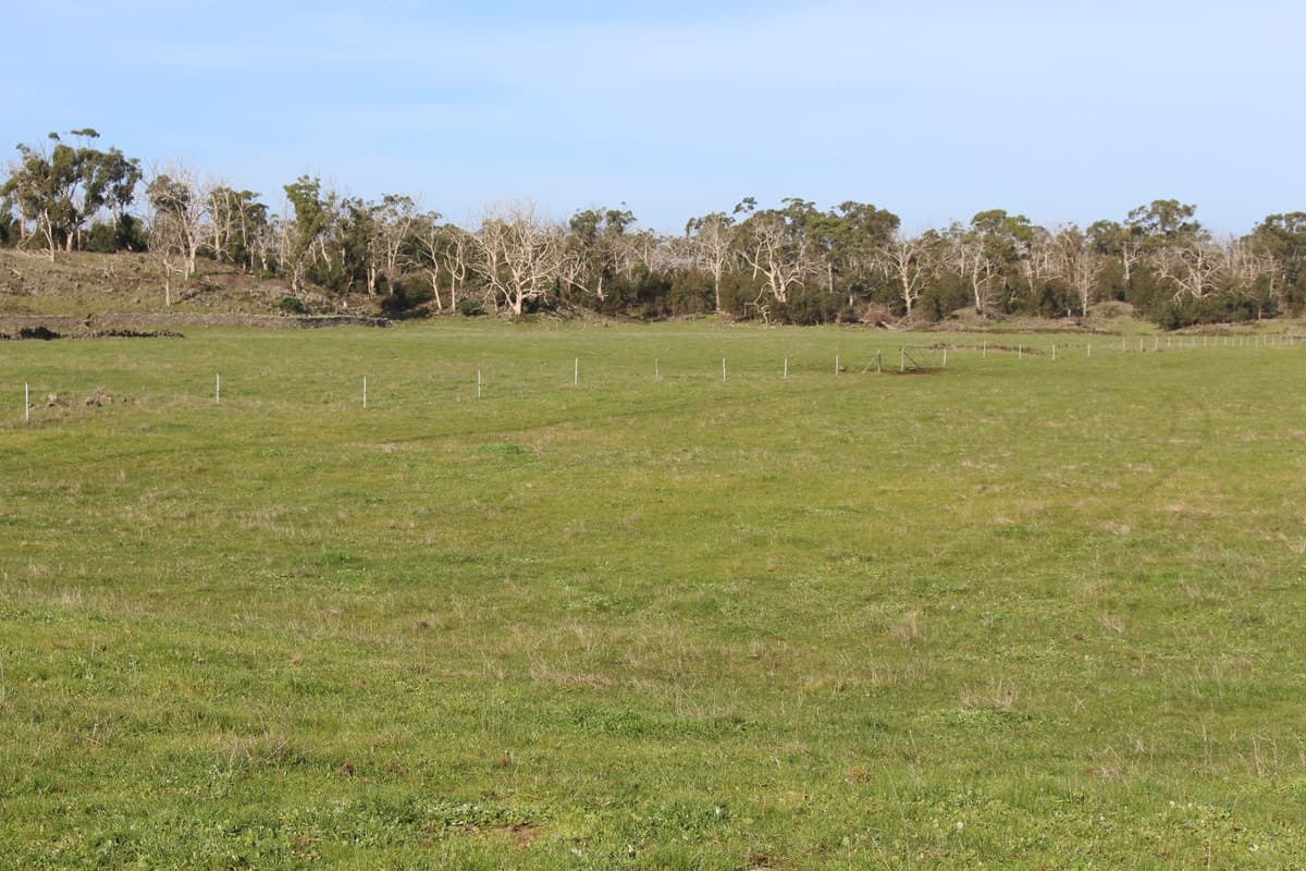 Cobden-Stonyford Road, Stonyford, VIC, Stonyford - Image 1
