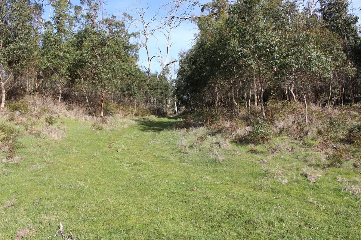Cobden-Stonyford Road, Stonyford, VIC, Stonyford - Thumbnail 2