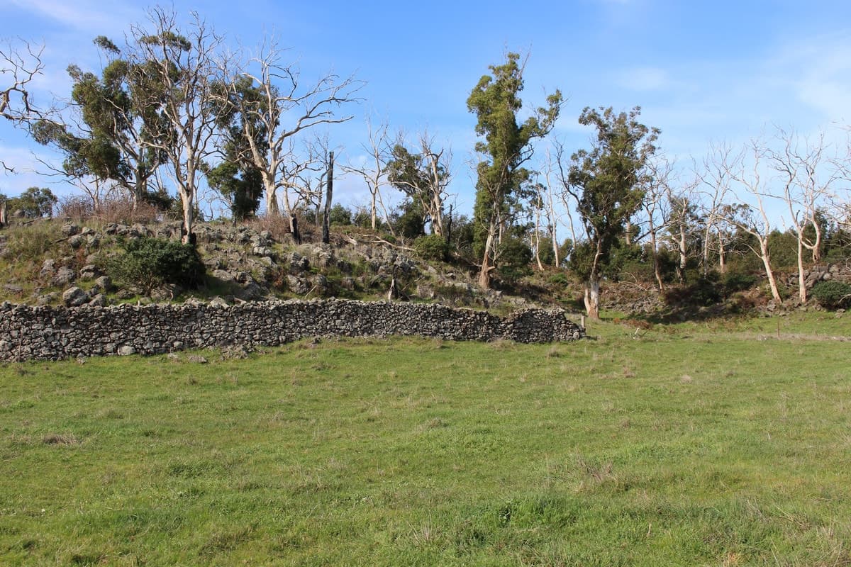Cobden-Stonyford Road, Stonyford, VIC, Stonyford - Thumbnail 3