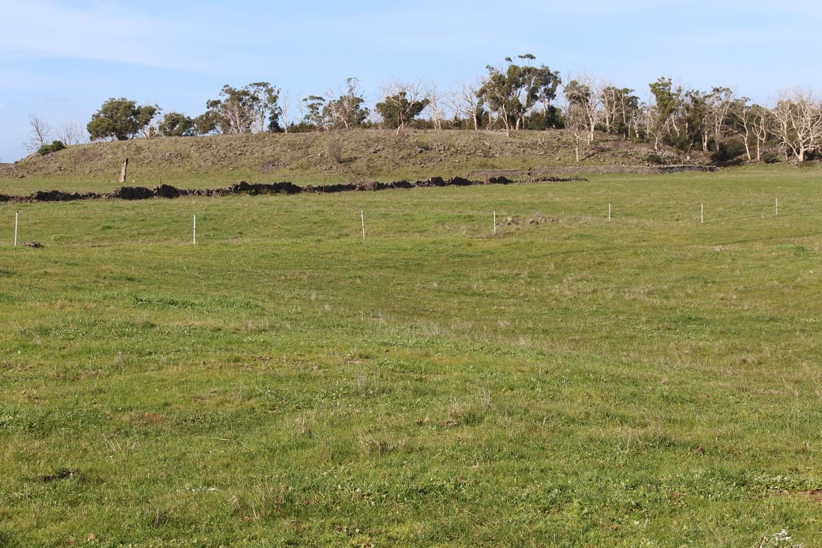 Cobden-Stonyford Road, Stonyford, VIC, Stonyford - Thumbnail 4