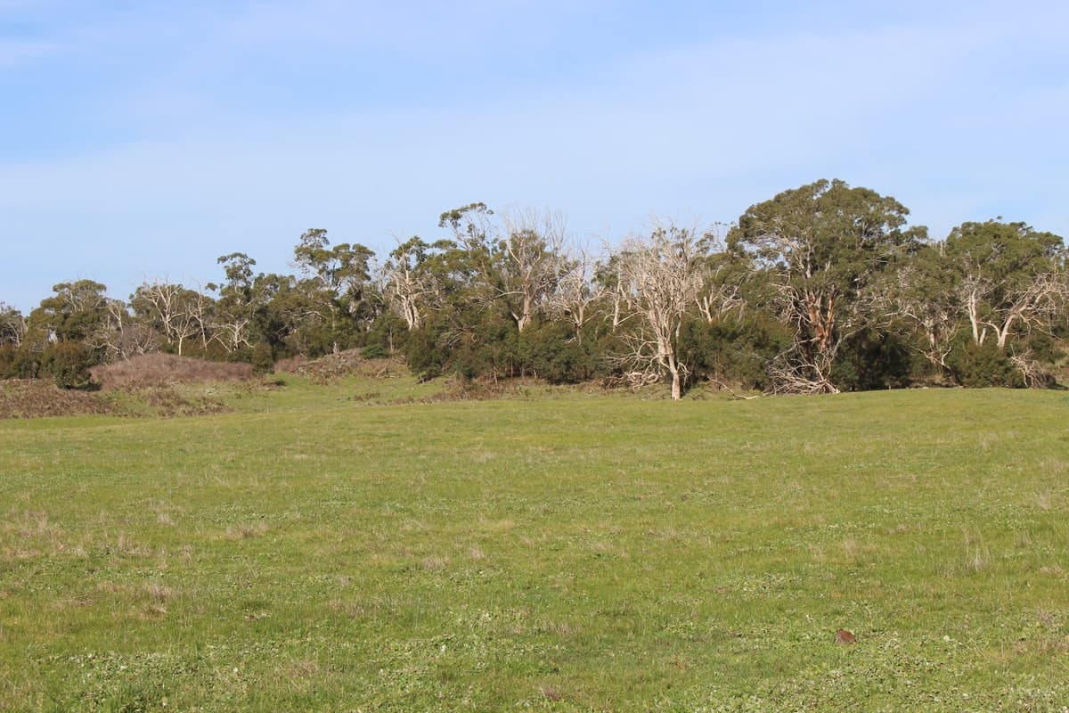 Cobden-Stonyford Road, Stonyford, VIC, Stonyford - Thumbnail 5